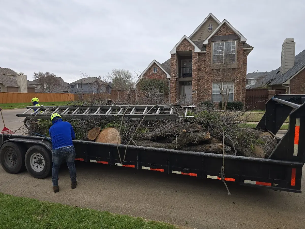 Expert Lot Clearing with proper safety equipment in False Pass